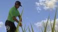 Tiger Woods PGA Tour 09 / EA Sports / Zum Vergrößern auf das Bild klicken