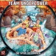 Team Undercover 17