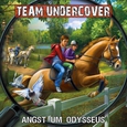 Team Undercover 10