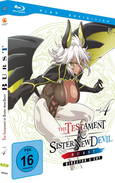 The Testament of Sister New Devil Vol. 4